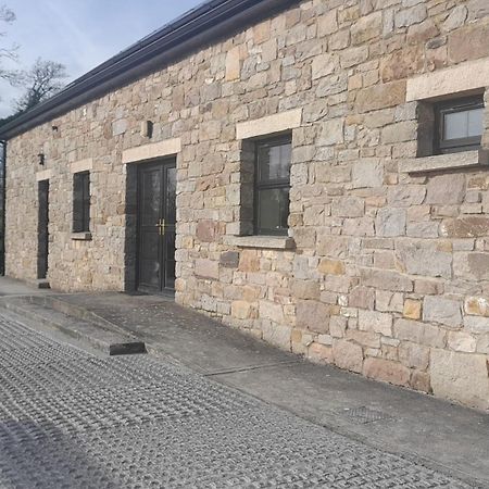 Villa Rathgillen House Nobber Exterior foto