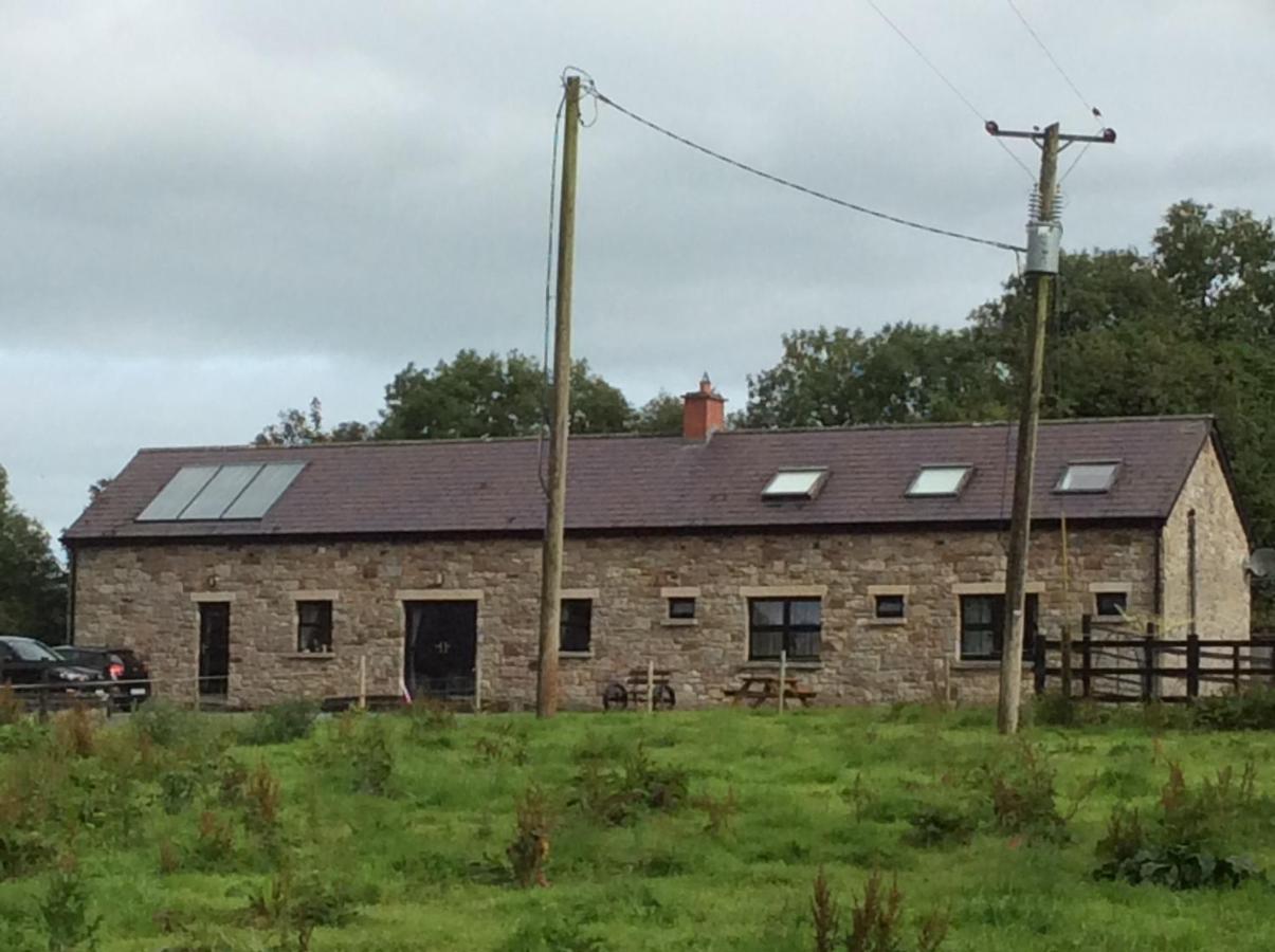 Villa Rathgillen House Nobber Exterior foto